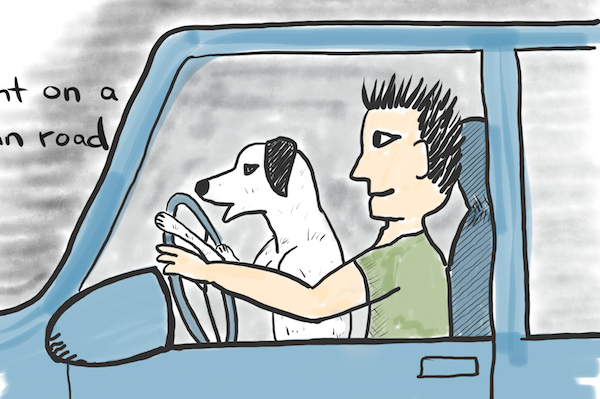 driving dog Lisa Sinicki