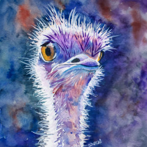 Dizzy Ostrich watercolor