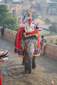 Photo by Lisa Goell Sinicki